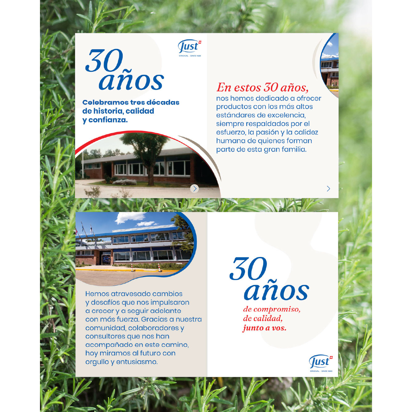 JUST INTERNATIONAL LATAM – Sistematización de la comunicación